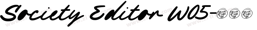 Society Editor W05字体转换